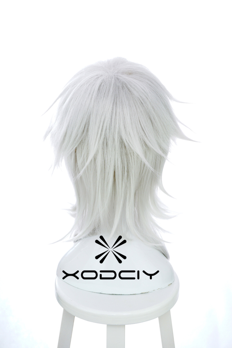 アニメ刀剣乱舞オンライン鶴丸国永ウィッグコスプレ衣装男性 & - Men Accessories Online のレビューと価格